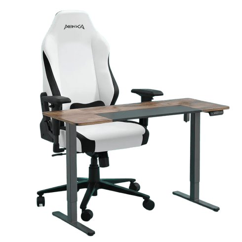 Gaming Furniture
