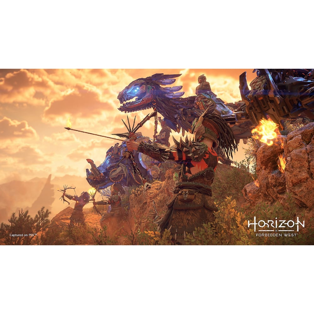 Horizon Forbidden West Standard Edition | PlayStation 4