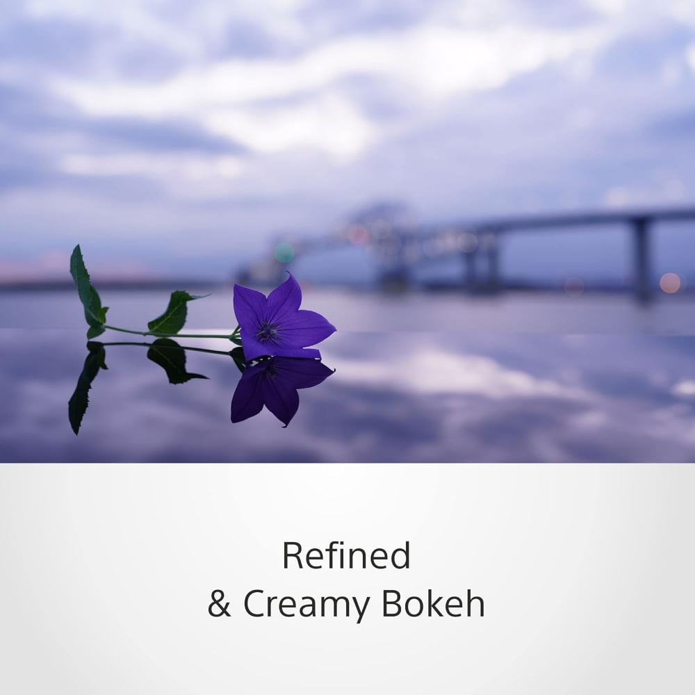 Sony FE 35mm | SEL35F14GM | F1.4 GM | Wide-Angle Prime Lens | Full-Frame E-Mount | Black