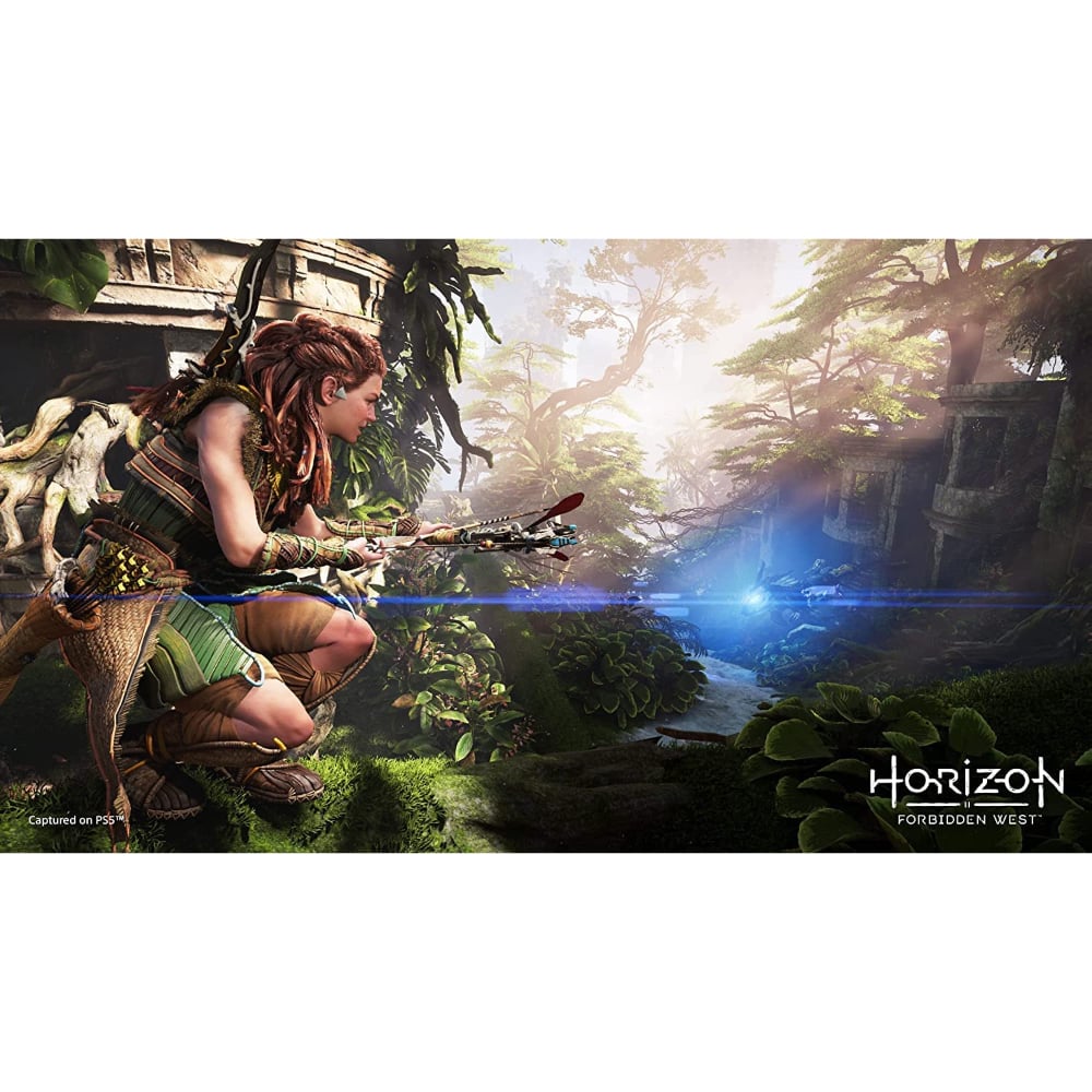 Horizon Forbidden West Standard Edition |PlayStation 5