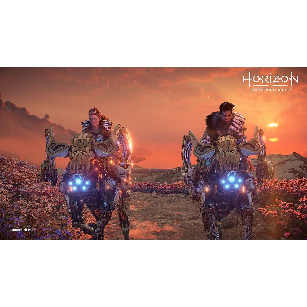 Horizon Forbidden West Standard Edition | PlayStation 4