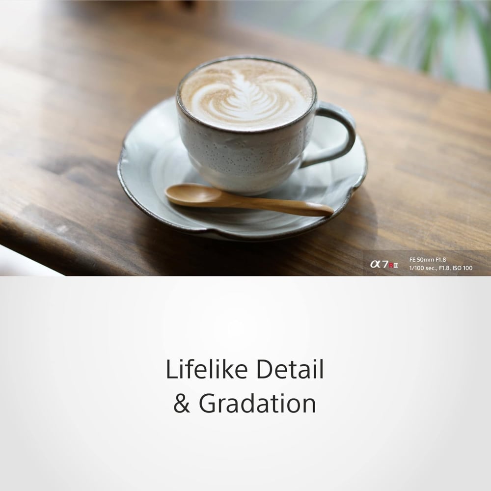سوني FE 50mm | SEL50F18F | F1.8 | عدسة برايم قياسية | مانت E فل فريم | أسود