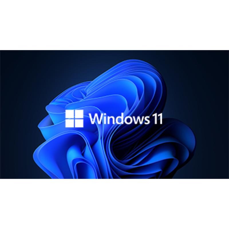 بطاقة ويندوز ١١ برو (Pro)