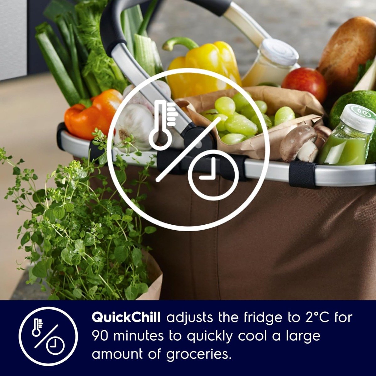 ثلاجة إلكترولوكس 624 لتر بابين جنبًا إلى جنب | ضاغط NutriFresh Inverter | تقنية EvenTemp | تبريد سريع QuickChill وتجميد سريع QuickFreeze | بدون تكوّن ثلج | إضاءة LED | أسود مطفي – ESE6600B-B