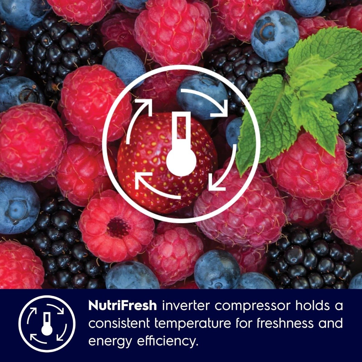 ثلاجة إلكترولوكس 624 لتر بابين جنبًا إلى جنب | ضاغط NutriFresh Inverter | تقنية EvenTemp | تبريد سريع QuickChill وتجميد سريع QuickFreeze | بدون تكوّن ثلج | إضاءة LED | أسود مطفي – ESE6600B-B