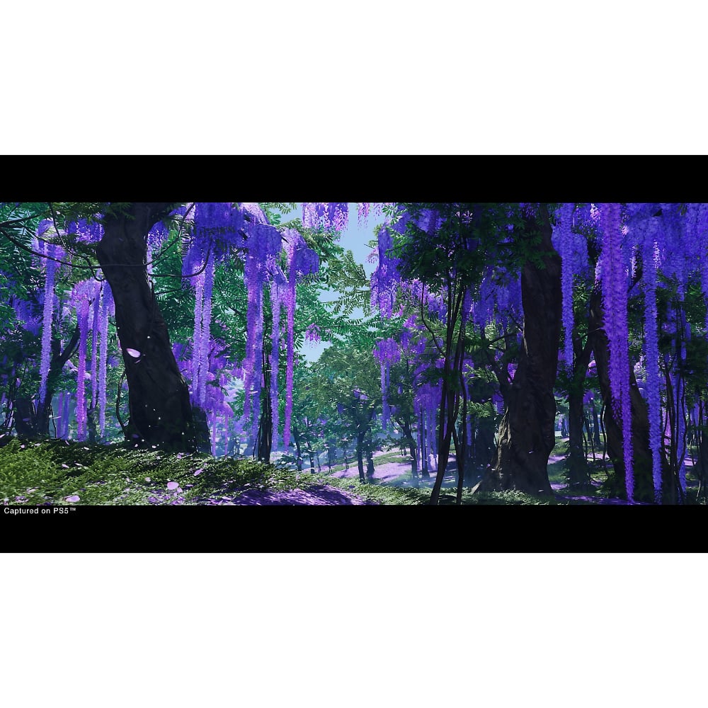 PlayStation Ghost Of Tsushima Directors Cut Video Game Playstation 5