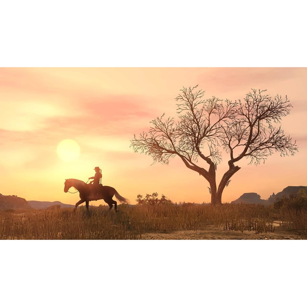 PlayStation Red Dead Redemption Video Game Playstation 4