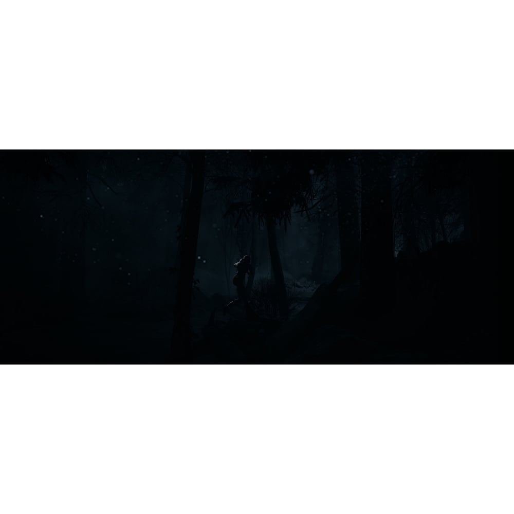 PlayStation Until Dawn Video Game Playstation 5