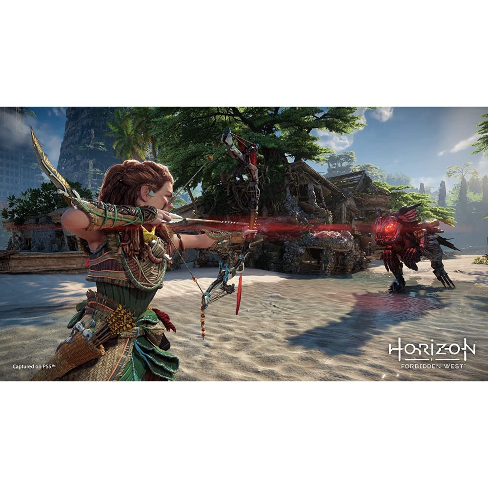 PlayStation Horizon Forbidden West Standard Edition Video Game Playstation 5