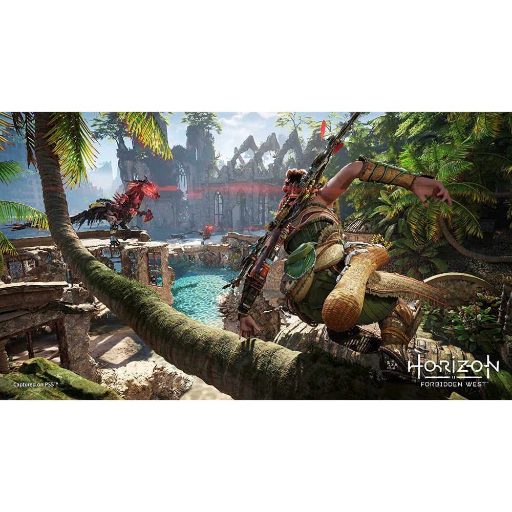 Horizon Forbidden West Standard Edition |PlayStation 5
