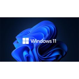بطاقة ويندوز ١١ برو (Pro)