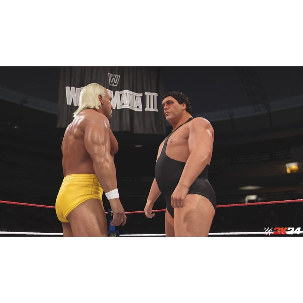 PlayStation WWE 2K24 Video Game PlayStation 4