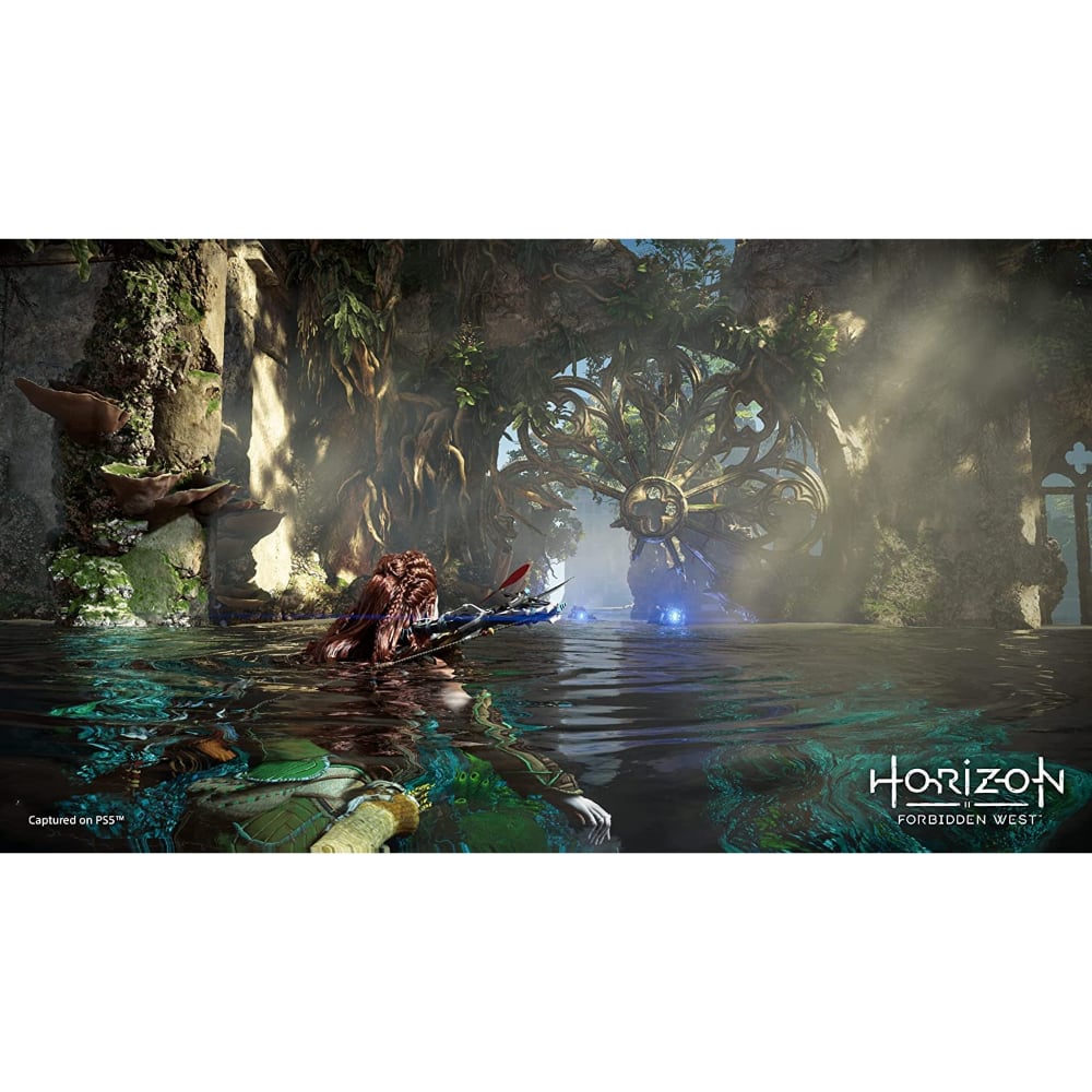 Horizon Forbidden West Standard Edition |PlayStation 5