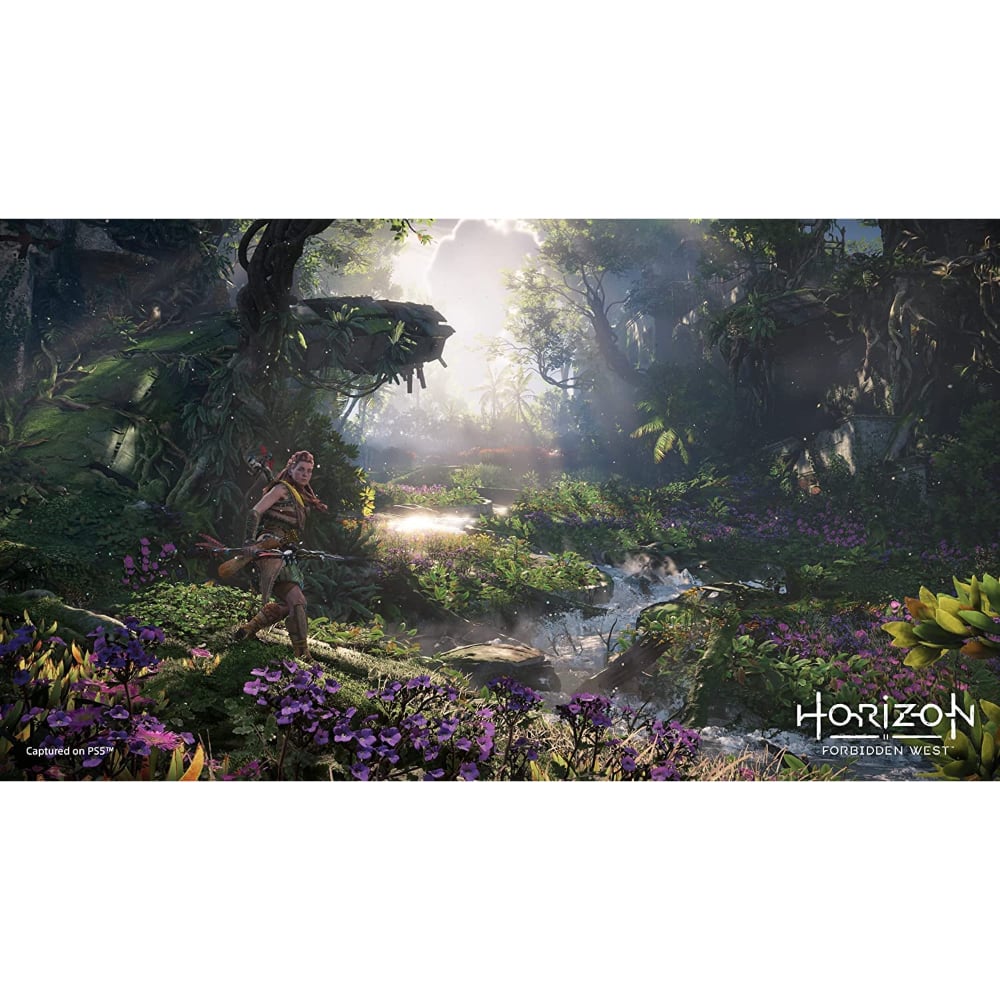 Horizon Forbidden West Standard Edition |PlayStation 5