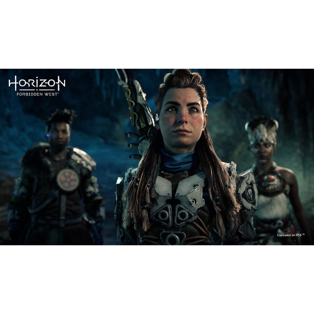PlayStation Horizon Forbidden West Standard Edition Video Game Playstation 4