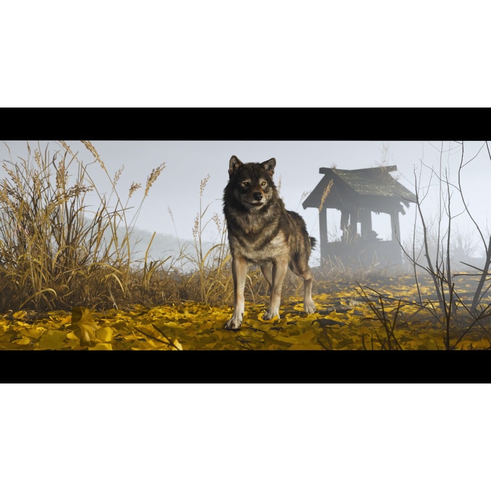 Ghost Of Yotei Collector’s Edition | PS5 Game