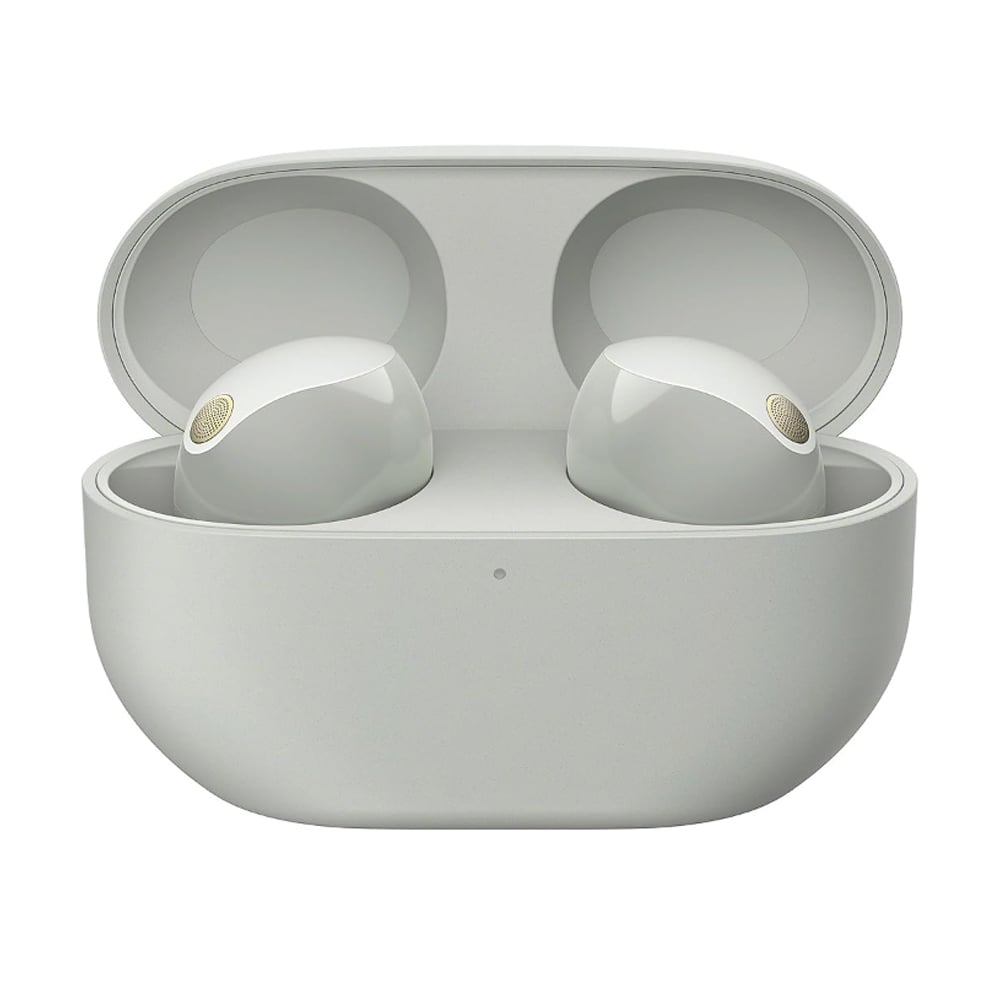 Sony WF-1000XM5 Wireless In-Ear Earbuds Active Noise Cancellation with Microphone Silver